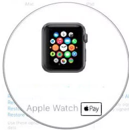 Iwatch bloqueado hot sale