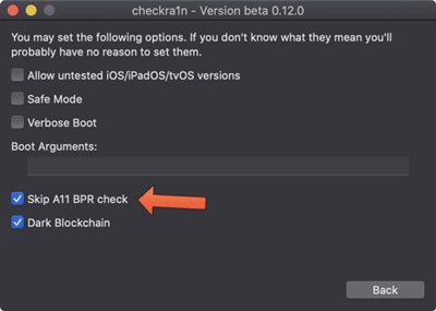 checkra1n 2