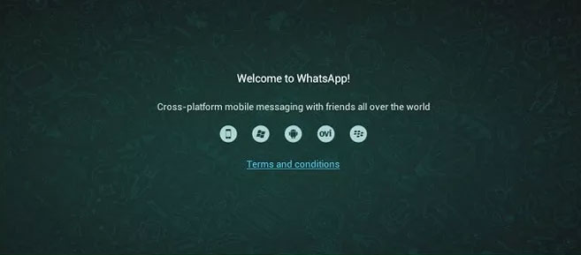 video chamada whatsapp web