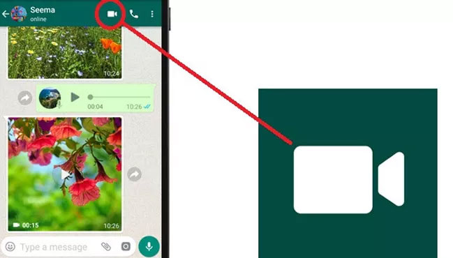 video chamada whatsapp web