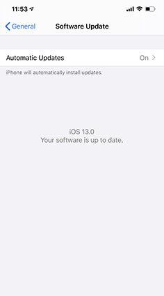 cannot update to ios 13 from ios 13 beta