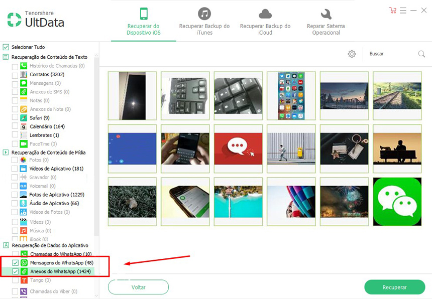 selecione anexos do whatsapp