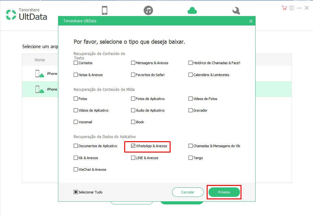 selecione tipo deseja baixar