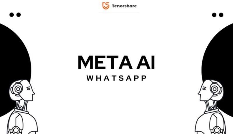 meta ai whatsapp