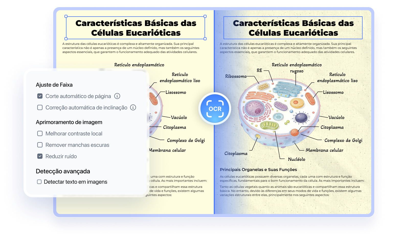 pdnob pdf editor ocr pdf