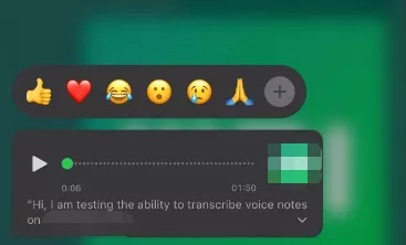 how to find voice notes in whatsapp on iphone - message transcript