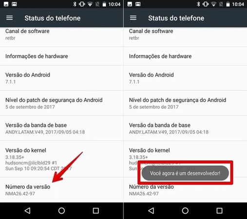 ativa modo desenvolvedor