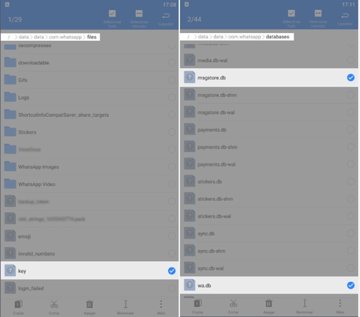 obter o arquivo do whatsapp